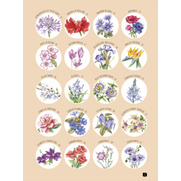 Draw 100: Flowers i gruppen Skapande & Hobby / Böcker / Inspirationsböcker hos Pen Store (136315)