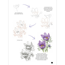 Draw 100: Flowers i gruppen Skapande & Hobby / Böcker / Inspirationsböcker hos Pen Store (136315)