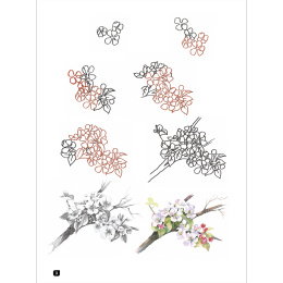 Draw 100: Flowers i gruppen Skapande & Hobby / Böcker / Inspirationsböcker hos Pen Store (136315)