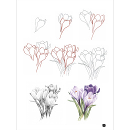 Draw 100: Flowers i gruppen Skapande & Hobby / Böcker / Inspirationsböcker hos Pen Store (136315)