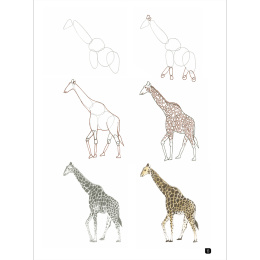 Draw 100: Animals i gruppen Skapande & Hobby / Böcker / Inspirationsböcker hos Pen Store (136316)