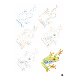 Draw 100: Animals i gruppen Skapande & Hobby / Böcker / Inspirationsböcker hos Pen Store (136316)