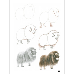 Draw 100: Animals i gruppen Skapande & Hobby / Böcker / Inspirationsböcker hos Pen Store (136316)