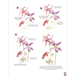 Paint 50: Watercolour Flowers i gruppen Skapande & Hobby / Böcker / Instruktionsböcker hos Pen Store (136318)