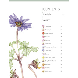 Paint 50: Watercolour Flowers i gruppen Skapande & Hobby / Böcker / Instruktionsböcker hos Pen Store (136318)