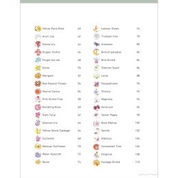 Paint 50: Watercolour Flowers i gruppen Skapande & Hobby / Böcker / Instruktionsböcker hos Pen Store (136318)