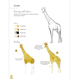 Paint 50: Watercolour Animals i gruppen Skapande & Hobby / Böcker / Instruktionsböcker hos Pen Store (136319)