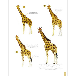 Paint 50: Watercolour Animals i gruppen Skapande & Hobby / Böcker / Instruktionsböcker hos Pen Store (136319)