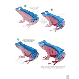 Paint 50: Watercolour Animals i gruppen Skapande & Hobby / Böcker / Instruktionsböcker hos Pen Store (136319)