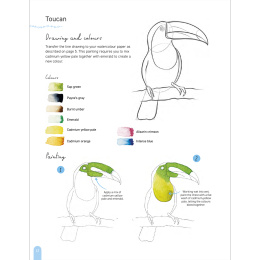 Paint 50: Watercolour Animals i gruppen Skapande & Hobby / Böcker / Instruktionsböcker hos Pen Store (136319)