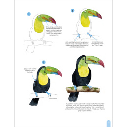 Paint 50: Watercolour Animals i gruppen Skapande & Hobby / Böcker / Instruktionsböcker hos Pen Store (136319)