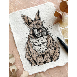 The Kew Book of Drawing Flora and Fauna i gruppen Skapande & Hobby / Böcker / Instruktionsböcker hos Pen Store (136328)