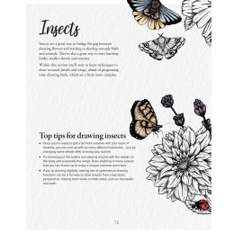 The Kew Book of Drawing Flora and Fauna i gruppen Skapande & Hobby / Böcker / Instruktionsböcker hos Pen Store (136328)