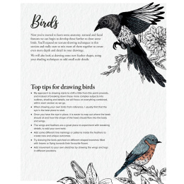 The Kew Book of Drawing Flora and Fauna i gruppen Skapande & Hobby / Böcker / Instruktionsböcker hos Pen Store (136328)