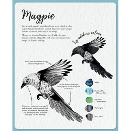 The Kew Book of Drawing Flora and Fauna i gruppen Skapande & Hobby / Böcker / Instruktionsböcker hos Pen Store (136328)