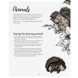 The Kew Book of Drawing Flora and Fauna i gruppen Skapande & Hobby / Böcker / Instruktionsböcker hos Pen Store (136328)