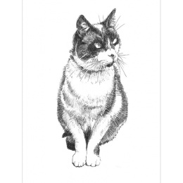 Pen and Ink Drawing Techniques i gruppen Skapande & Hobby / Böcker / Inspirationsböcker hos Pen Store (136330)