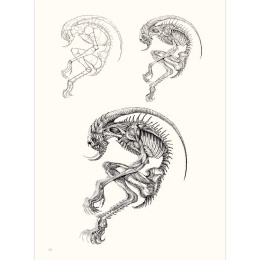 The Art of Fantasy i gruppen Skapande & Hobby / Böcker / Inspirationsböcker hos Pen Store (136331)