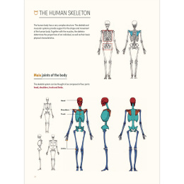 The Art of Fantasy i gruppen Skapande & Hobby / Böcker / Inspirationsböcker hos Pen Store (136331)