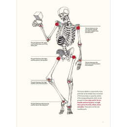 The Art of Fantasy i gruppen Skapande & Hobby / Böcker / Inspirationsböcker hos Pen Store (136331)
