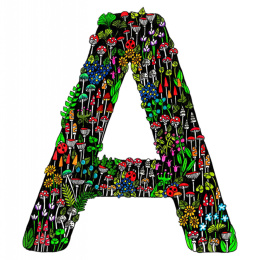 Draw Tiny & Make Great Art i gruppen Skapande & Hobby / Böcker / Inspirationsböcker hos Pen Store (136335)