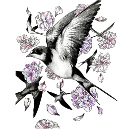 Illustration Watercolor Set i gruppen Konstnärsmaterial / Konstnärsfärger / Akvarellfärg / Akvarellfärg i kopp hos Pen Store (136421)