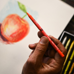 Pastellpennor 24-set i gruppen Pennor / Konstnärspennor / Pastellpennor hos Pen Store (136578)