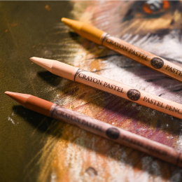 Pastellpennor 24-set i gruppen Pennor / Konstnärspennor / Pastellpennor hos Pen Store (136578)