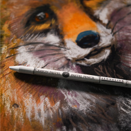 Pastellpennor 24-set i gruppen Pennor / Konstnärspennor / Pastellpennor hos Pen Store (136578)