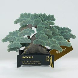 Bonsai popup-kort (Japanese black pine) i gruppen Skapande & Hobby / Högtider och säsong / Kort och kuvert hos Pen Store (136616)