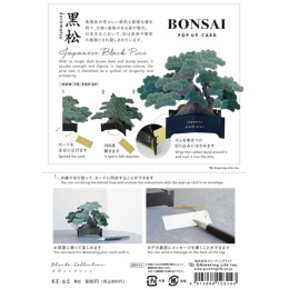 Bonsai popup-kort (Japanese black pine) i gruppen Skapande & Hobby / Högtider och säsong / Kort och kuvert hos Pen Store (136616)