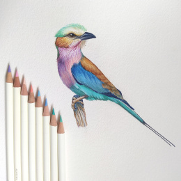 Irojiten Färgpenna Styckvis i gruppen Pennor / Konstnärspennor / Färgpennor hos Pen Store (136687_r)