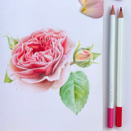 Irojiten Färgpenna Styckvis i gruppen Pennor / Konstnärspennor / Färgpennor hos Pen Store (136687_r)