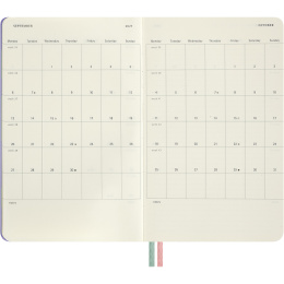 Kalender 18M WeekNote Hard Cover Large Alice in Wonderland i gruppen Papper & Block / Kalendrar och almanackor / 18-månaderskalendrar hos Pen Store (137025)