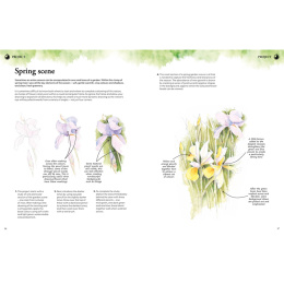 Learn to Draw in an Hour a Day i gruppen Skapande & Hobby / Böcker / Instruktionsböcker hos Pen Store (137176)