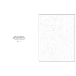 Mystery Coloring Around the World i gruppen Skapande & Hobby / Böcker / Målarböcker för vuxna hos Pen Store (137179)