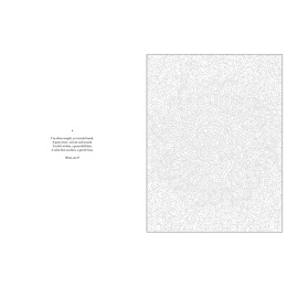 Mystery Coloring Mandalas i gruppen Skapande & Hobby / Böcker / Målarböcker för vuxna hos Pen Store (137182)