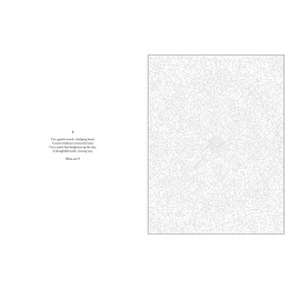 Mystery Coloring Mandalas i gruppen Skapande & Hobby / Böcker / Målarböcker för vuxna hos Pen Store (137182)