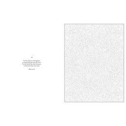 Mystery Coloring Mandalas i gruppen Skapande & Hobby / Böcker / Målarböcker för vuxna hos Pen Store (137182)