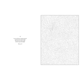 Mystery Coloring Wild Animals i gruppen Skapande & Hobby / Böcker / Målarböcker för vuxna hos Pen Store (137183)