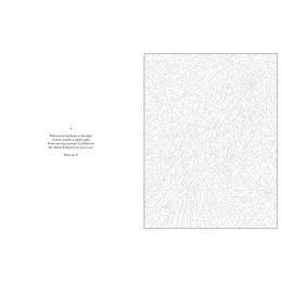 Mystery Coloring Wild Animals i gruppen Skapande & Hobby / Böcker / Målarböcker för vuxna hos Pen Store (137183)