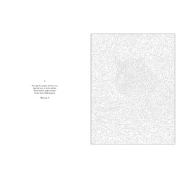 Mystery Coloring Wild Animals i gruppen Skapande & Hobby / Böcker / Målarböcker för vuxna hos Pen Store (137183)