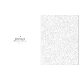 Mystery Coloring Wild Animals i gruppen Skapande & Hobby / Böcker / Målarböcker för vuxna hos Pen Store (137183)