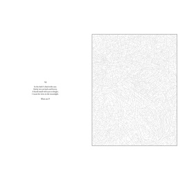 Mystery Coloring Wild Animals i gruppen Skapande & Hobby / Böcker / Målarböcker för vuxna hos Pen Store (137183)