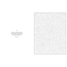 Mystery Coloring Wild Animals i gruppen Skapande & Hobby / Böcker / Målarböcker för vuxna hos Pen Store (137183)