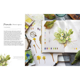 Sketching Nature i gruppen Skapande & Hobby / Böcker / Instruktionsböcker hos Pen Store (137184)