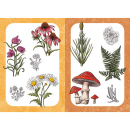 10 Step Drawing: Botanicals i gruppen Skapande & Hobby / Böcker / Instruktionsböcker hos Pen Store (137196)