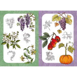 10 Step Drawing: Botanicals i gruppen Skapande & Hobby / Böcker / Instruktionsböcker hos Pen Store (137196)