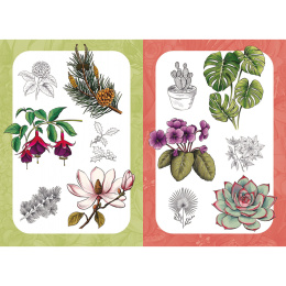 10 Step Drawing: Botanicals i gruppen Skapande & Hobby / Böcker / Instruktionsböcker hos Pen Store (137196)