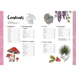 10 Step Drawing: Botanicals i gruppen Skapande & Hobby / Böcker / Instruktionsböcker hos Pen Store (137196)